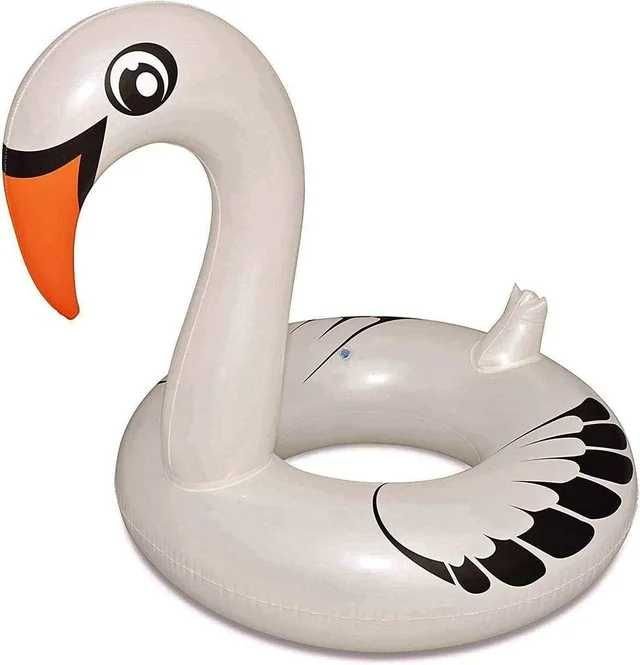 Boia Grande Cisne