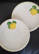 Pratos Porcelana Italiana Tognana (x2)
