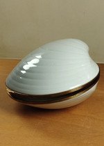Concha Limoges