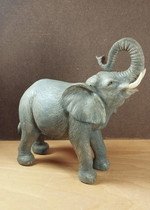 Elefante com Grande Detalhe