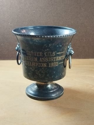 Troféu / Taça Golf 1983