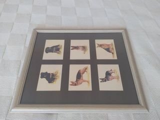 Quadros Cartas Colecionáveis Emolduradas