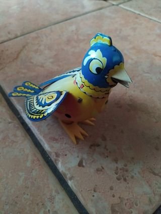 Pássaro em lata