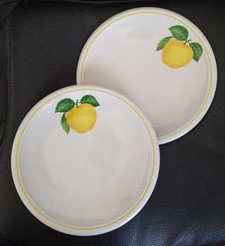 Pratos Porcelana Italiana TOGNANA (x2)